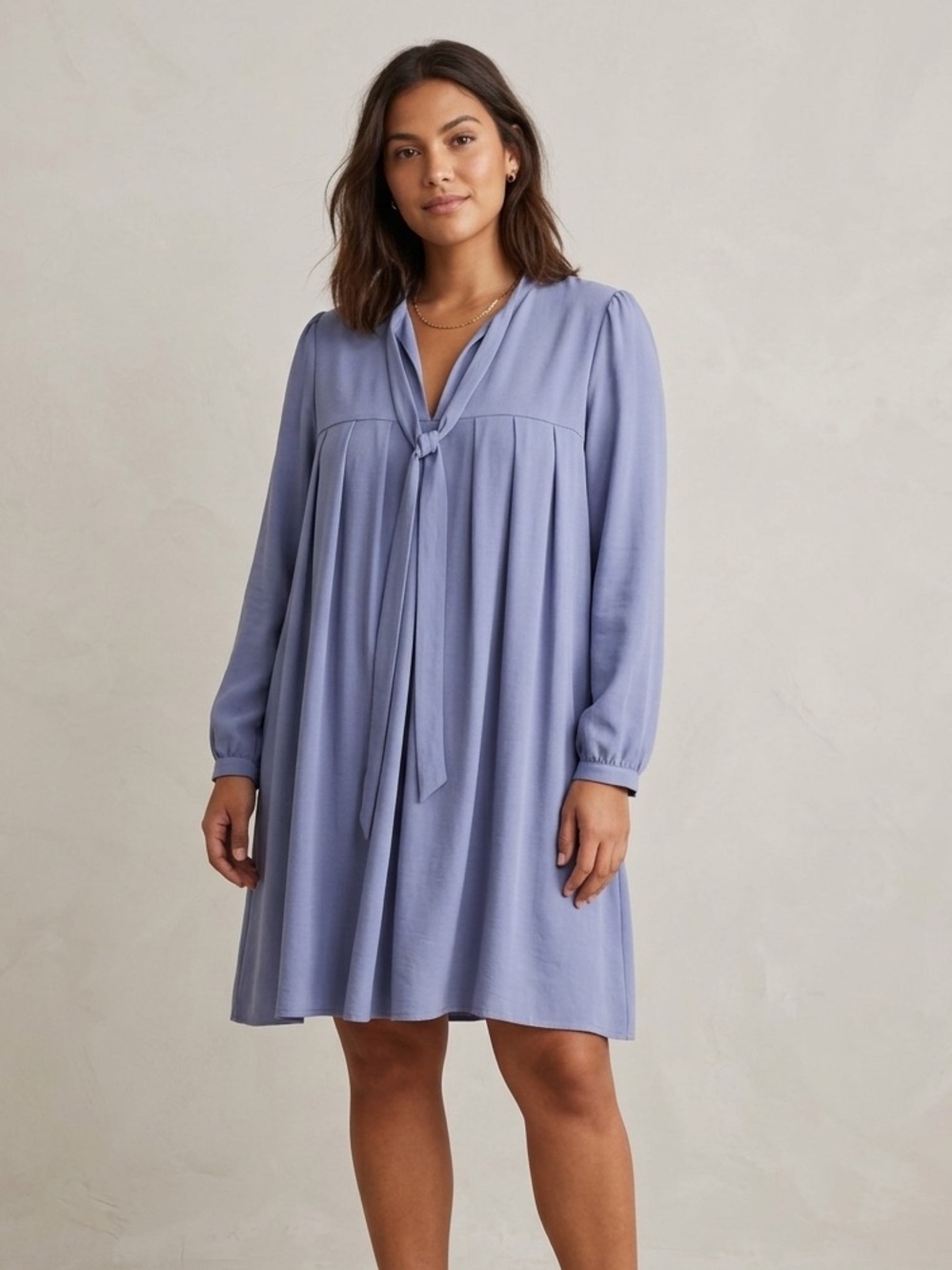 Birds Of North America Sz XL Ducks Blue Long Sleeves Dress